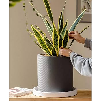 コンクリート製グレー丸型プランター mu-cgm024t_1.jpg